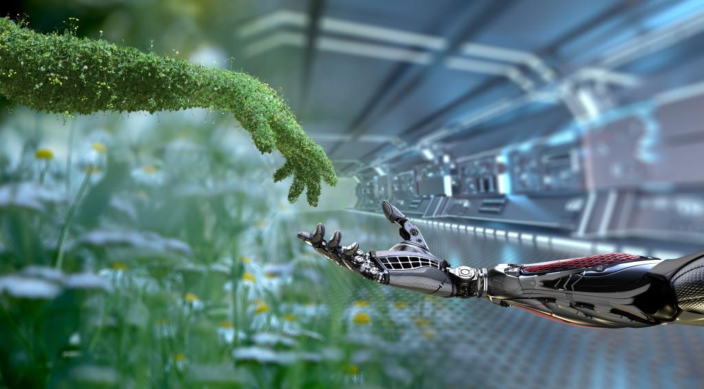 Bannière visuelle de présentation de la formation