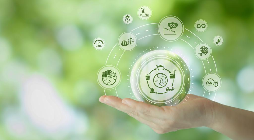 Bannière visuelle de présentation de la formation