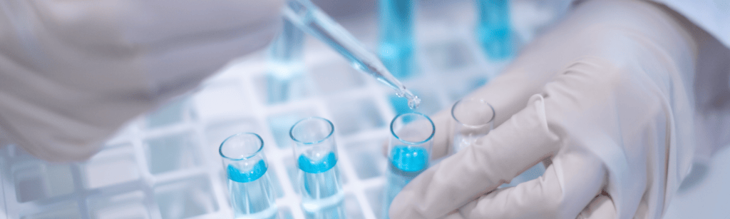 Bannière visuelle de présentation de la formation