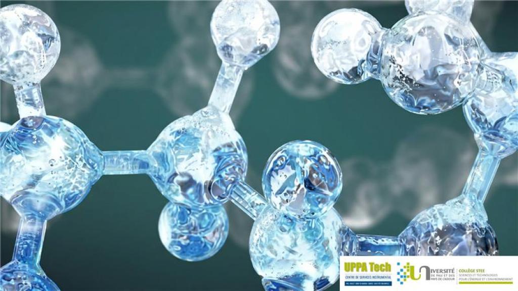 Bannière visuelle de présentation de la formation