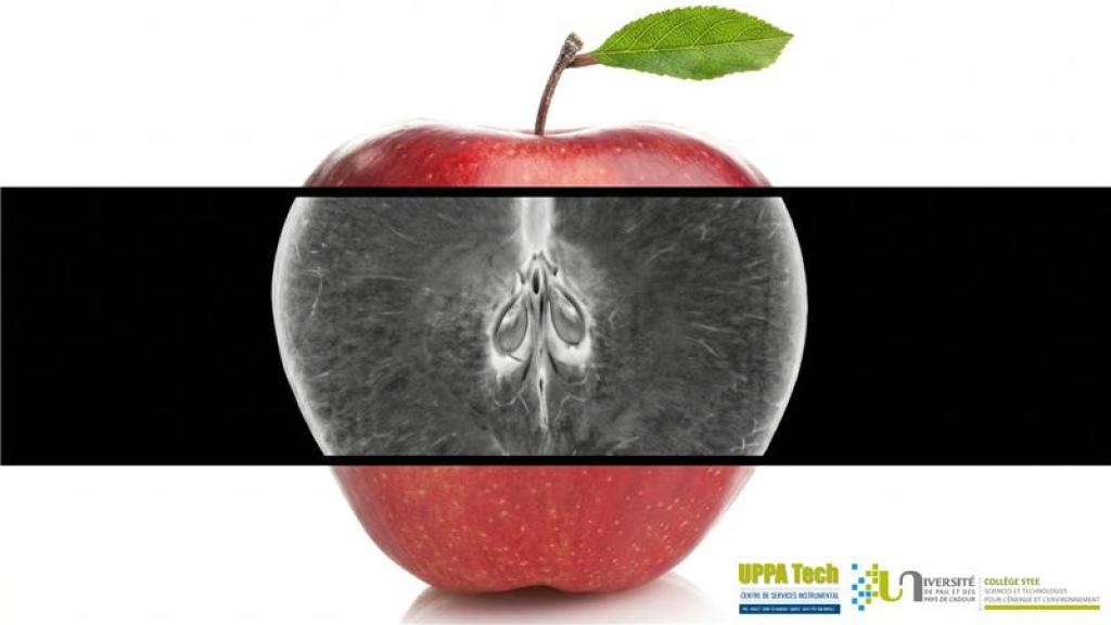 Bannière visuelle de présentation de la formation