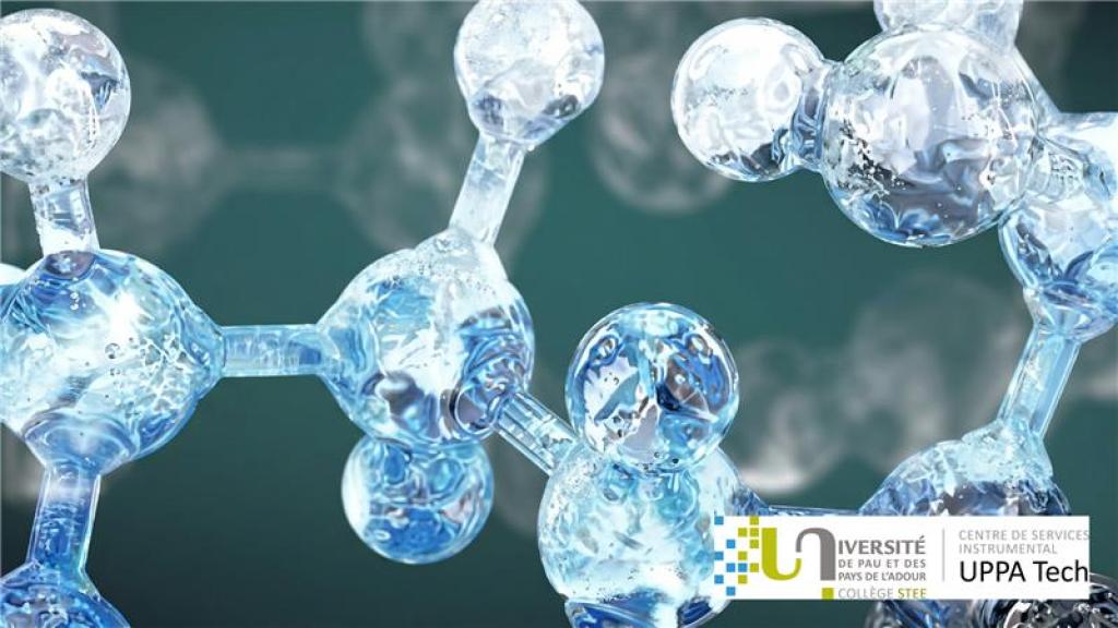 Bannière visuelle de présentation de la formation