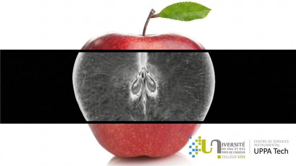 Bannière visuelle de présentation de la formation