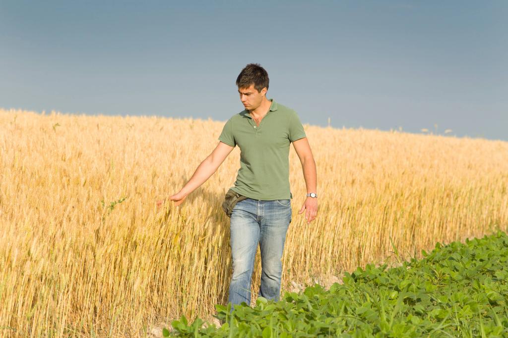 Bannière visuelle de présentation de la formation