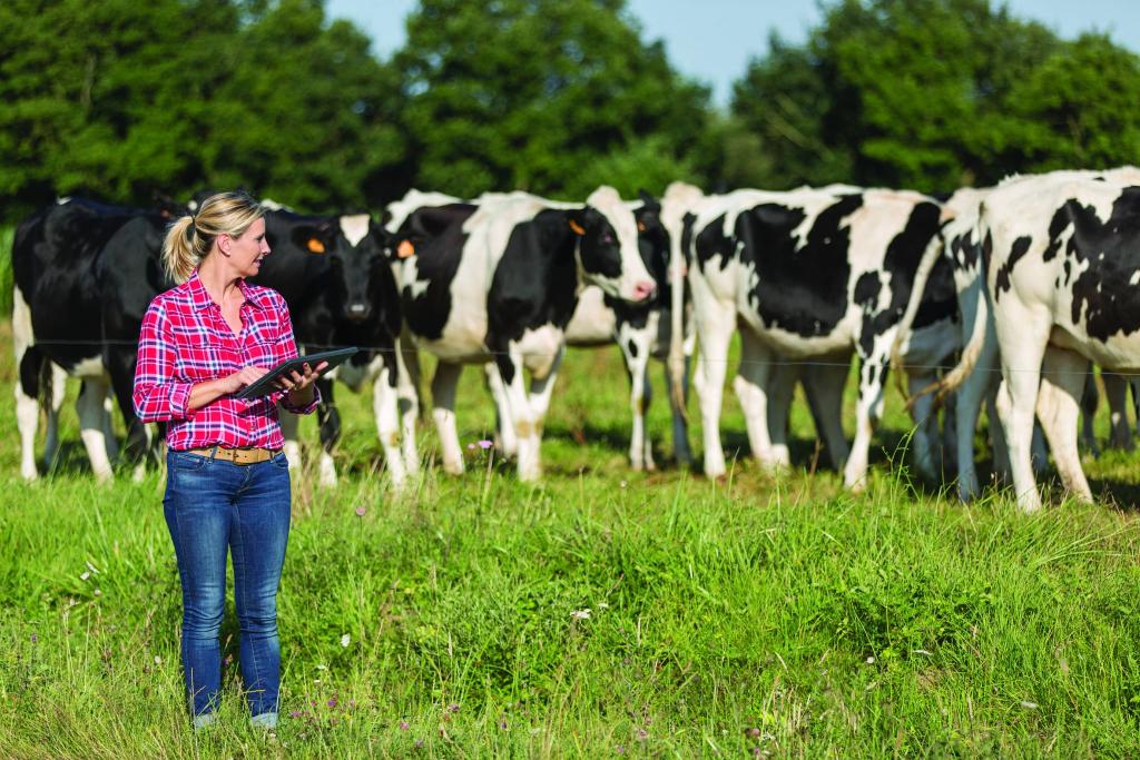 Bannière visuelle de présentation de la formation