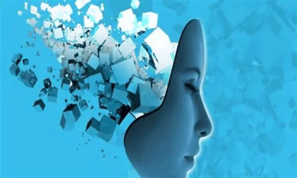 Bannière visuelle de présentation de la formation