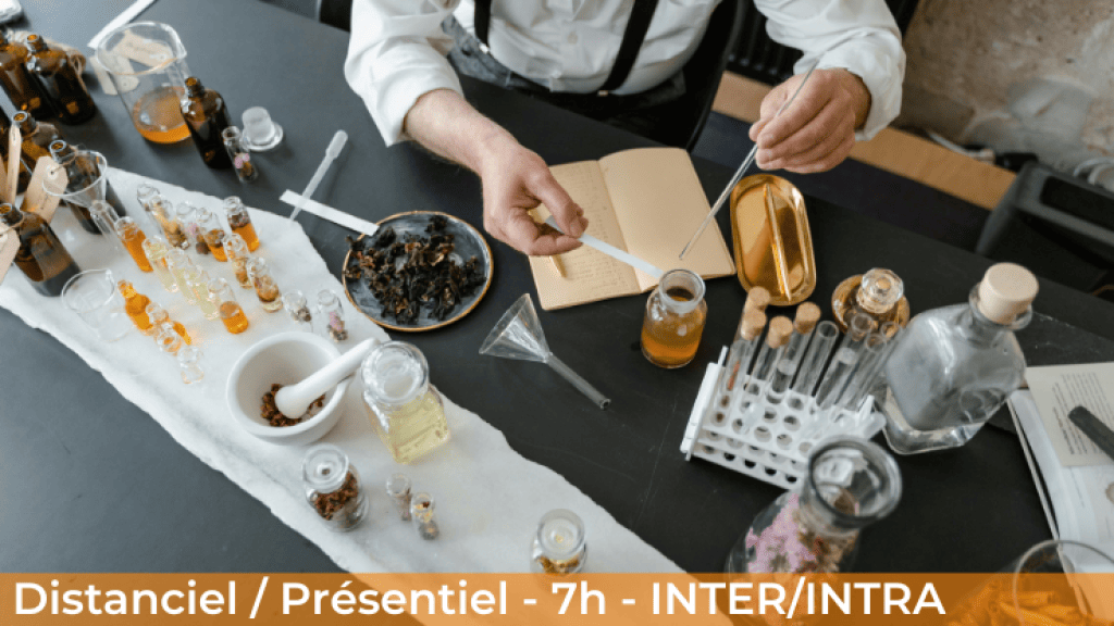 Bannière visuelle de présentation de la formation