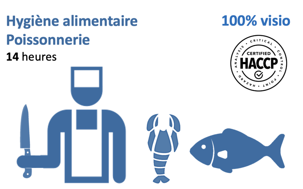 Bannière visuelle de présentation de la formation
