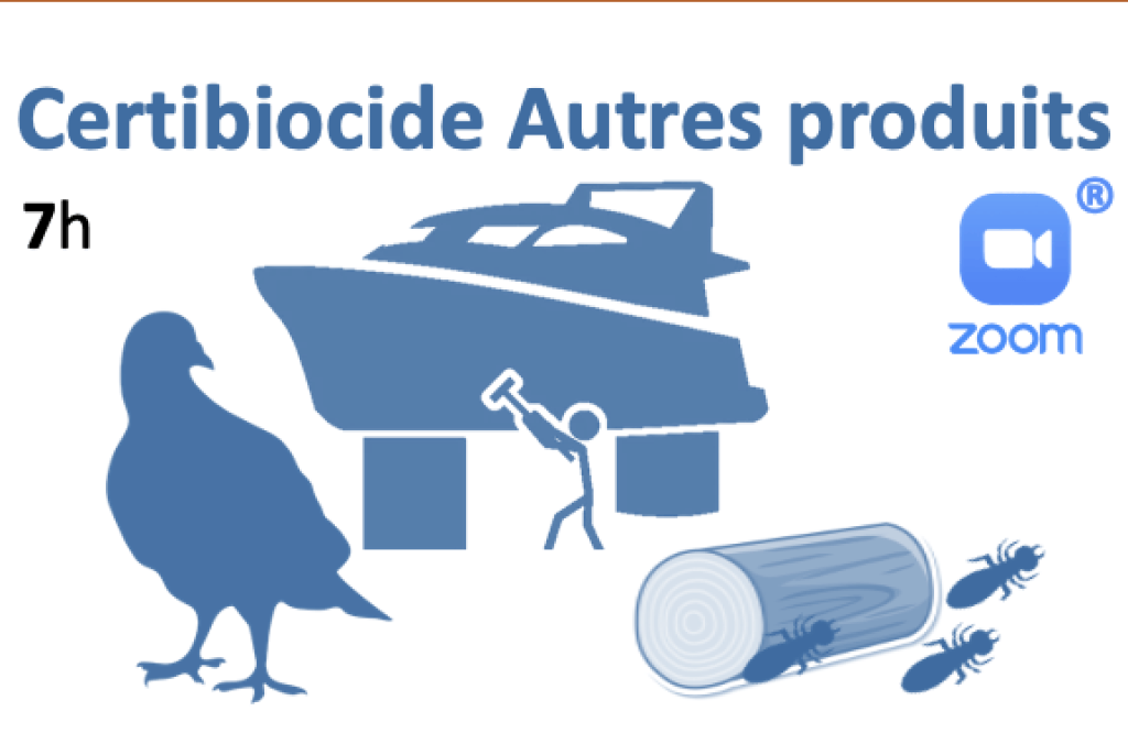 Bannière visuelle de présentation de la formation