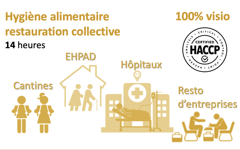 Bannière visuelle de présentation de la formation