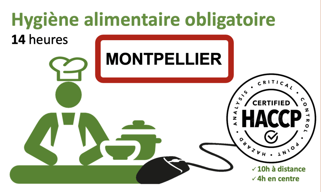 Bannière visuelle de présentation de la formation