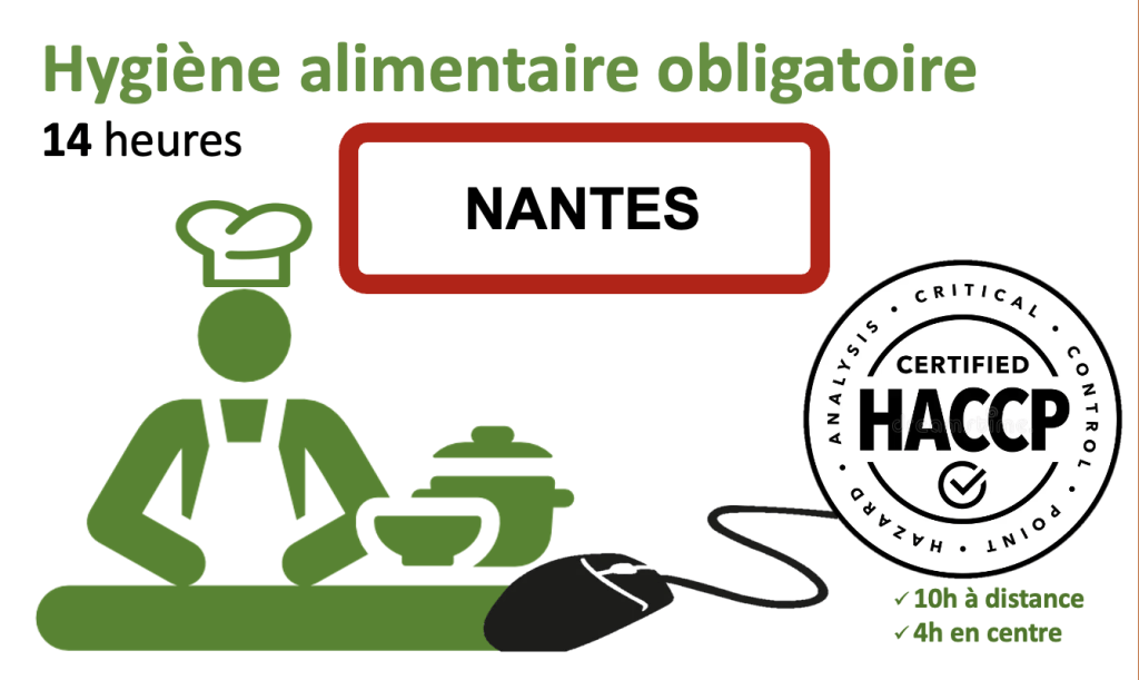 Bannière visuelle de présentation de la formation