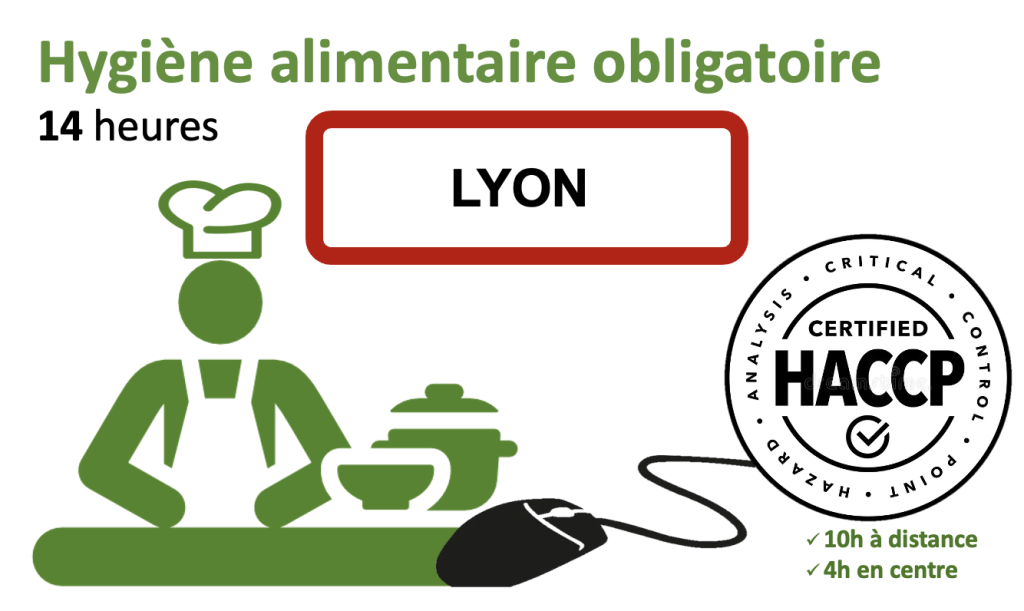 Bannière visuelle de présentation de la formation