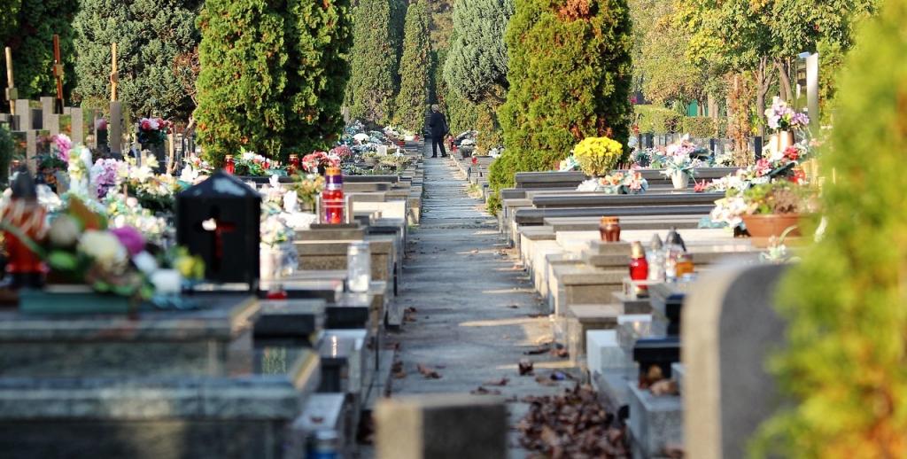 Bannière visuelle de présentation de la formation