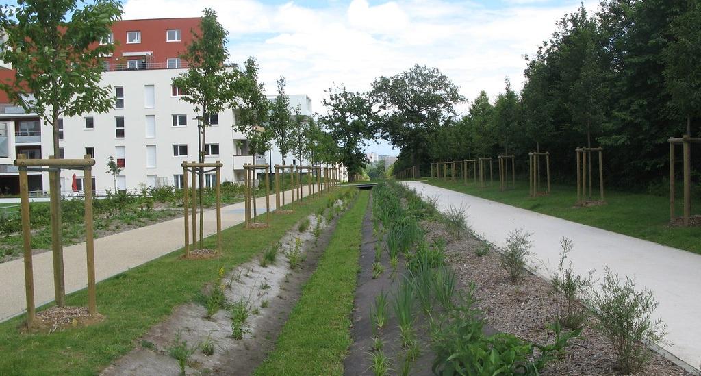 Bannière visuelle de présentation de la formation