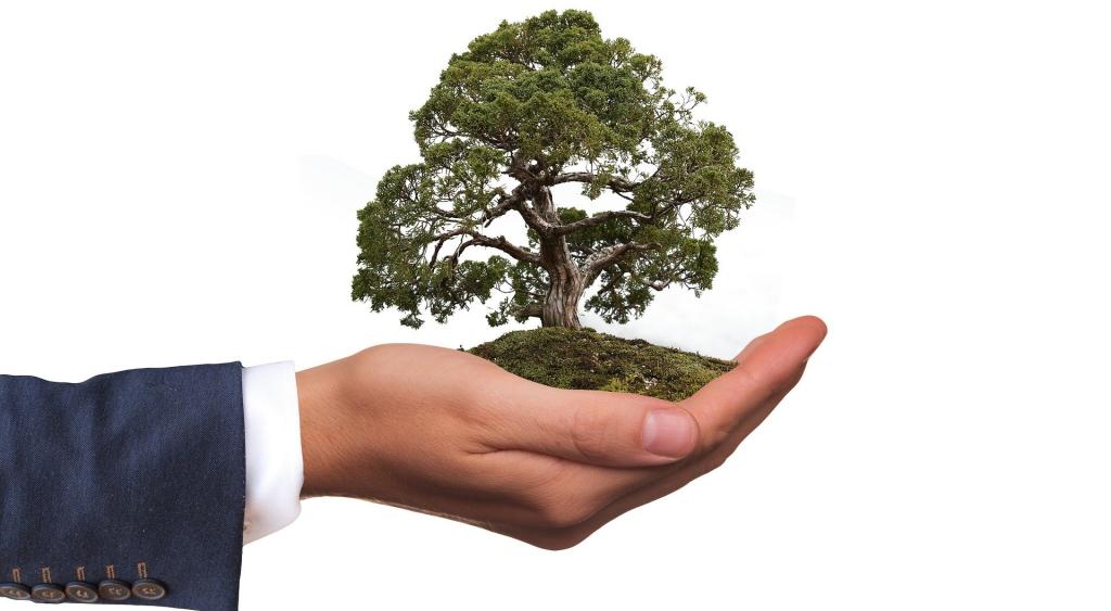 Bannière visuelle de présentation de la formation