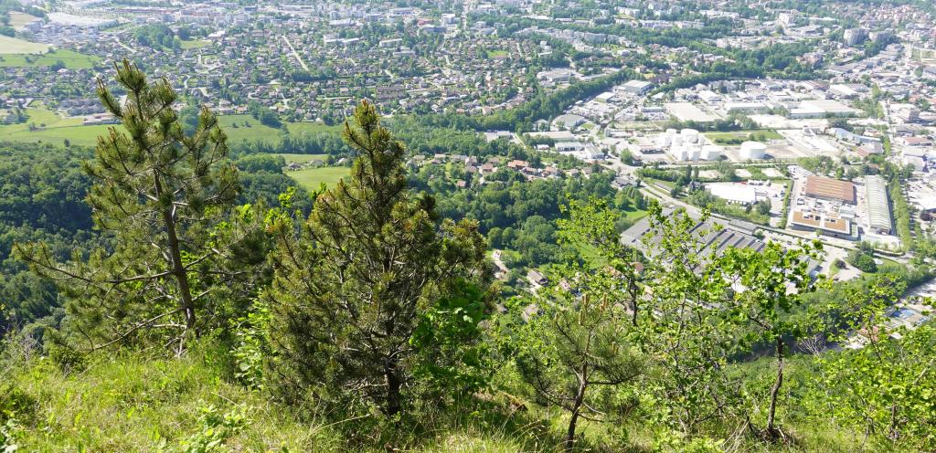 Bannière visuelle de présentation de la formation