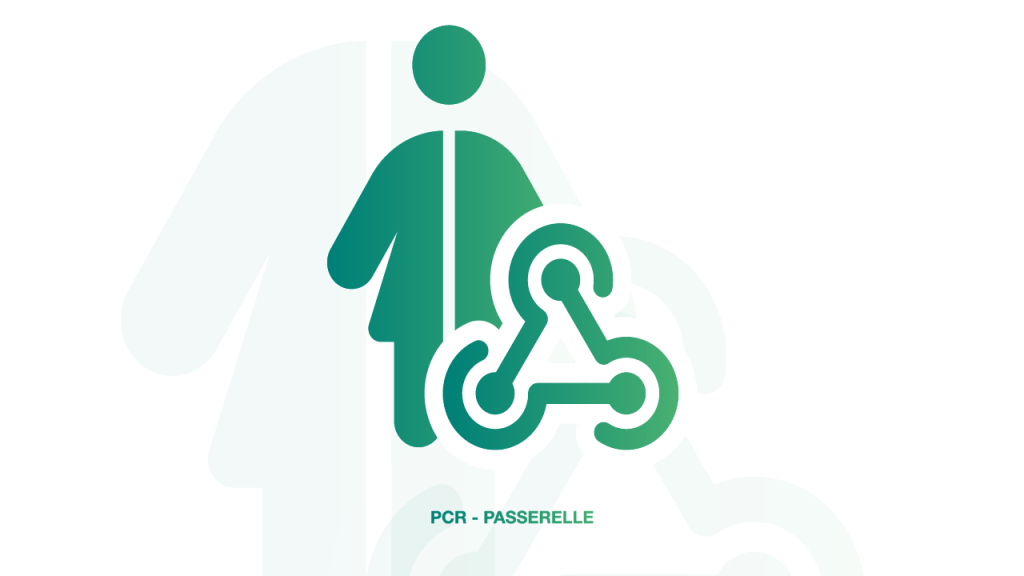 Bannière visuelle de présentation de la formation