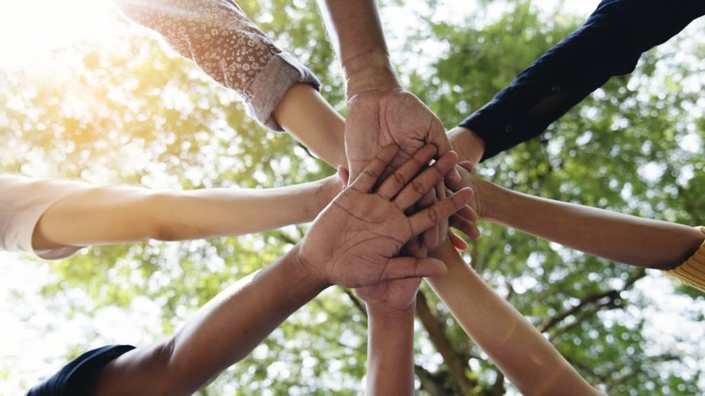 Bannière visuelle de présentation de la formation