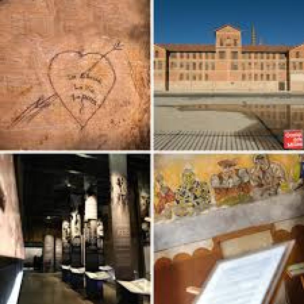 Bannière visuelle de présentation de la formation