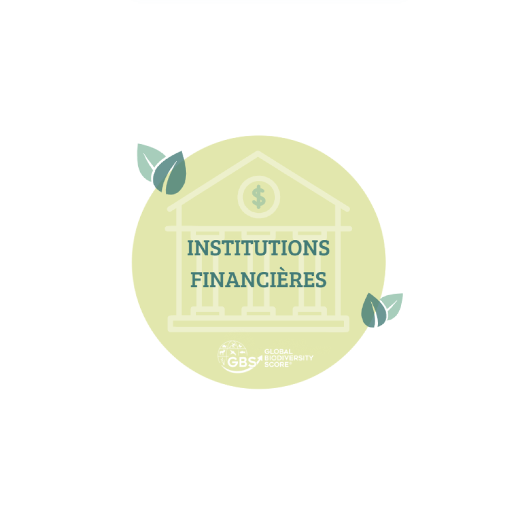 Bannière visuelle de présentation de la formation