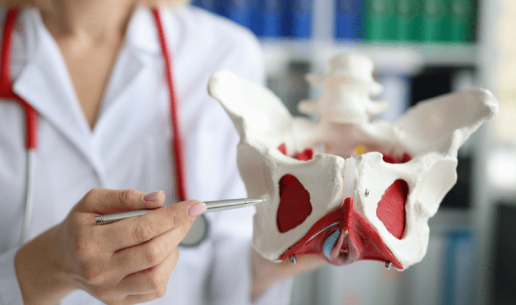 Bannière visuelle de présentation de la formation