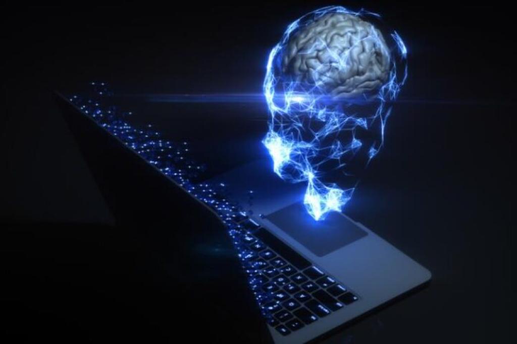 Bannière visuelle de présentation de la formation