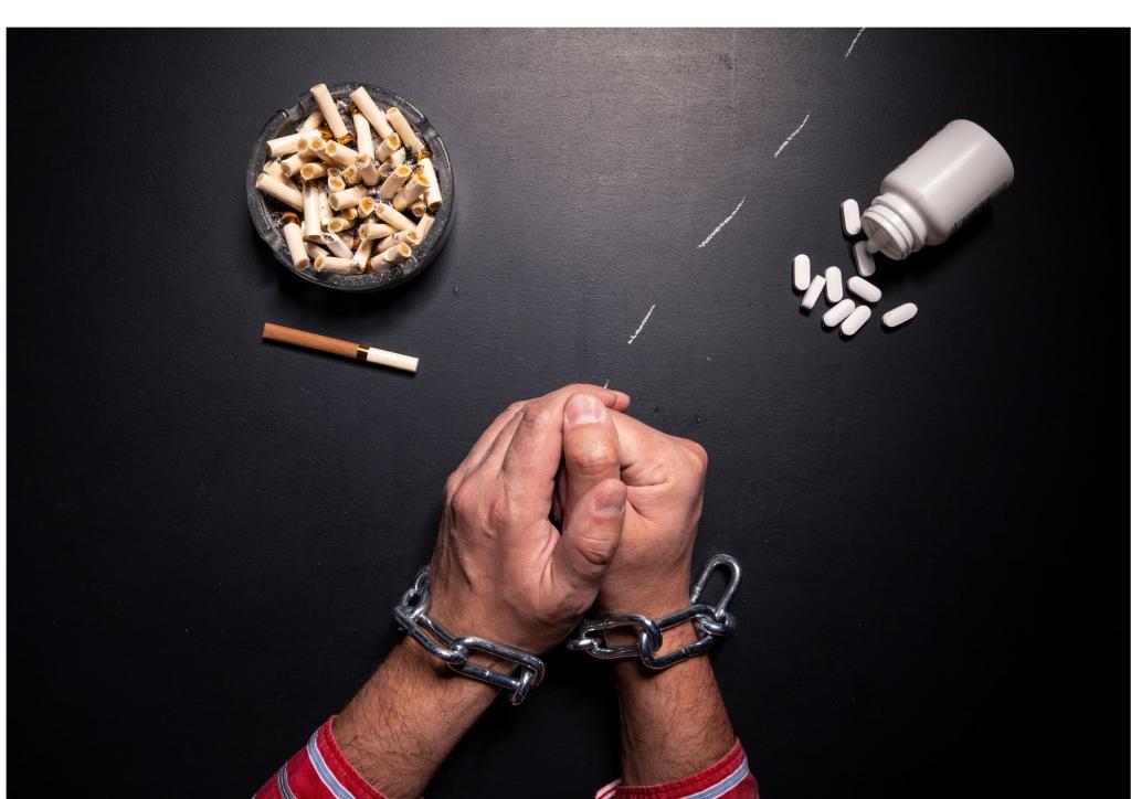 Bannière visuelle de présentation de la formation