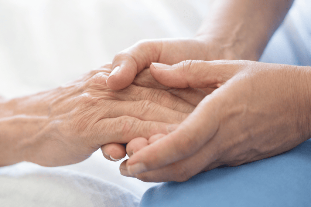 Bannière visuelle de présentation de la formation