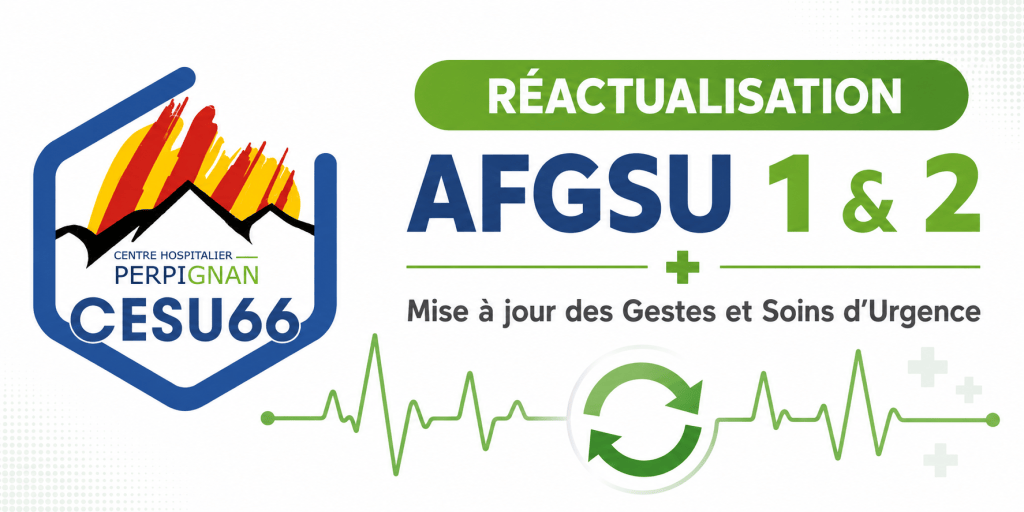 Bannière visuelle de présentation de la formation