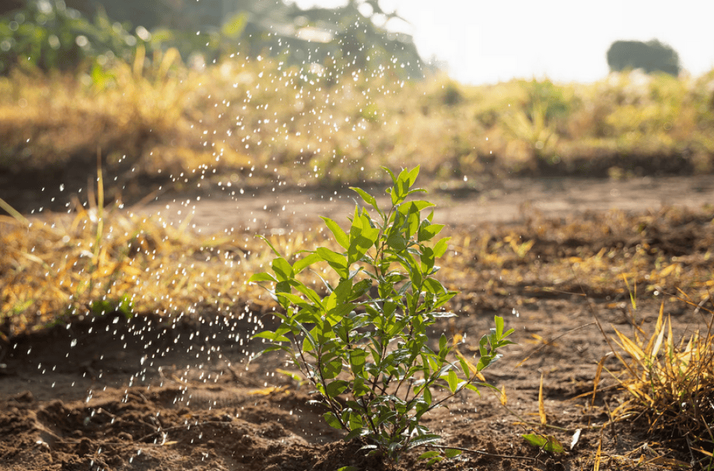 Bannière visuelle de présentation de la formation