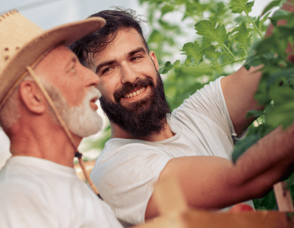 Bannière visuelle de présentation de la formation