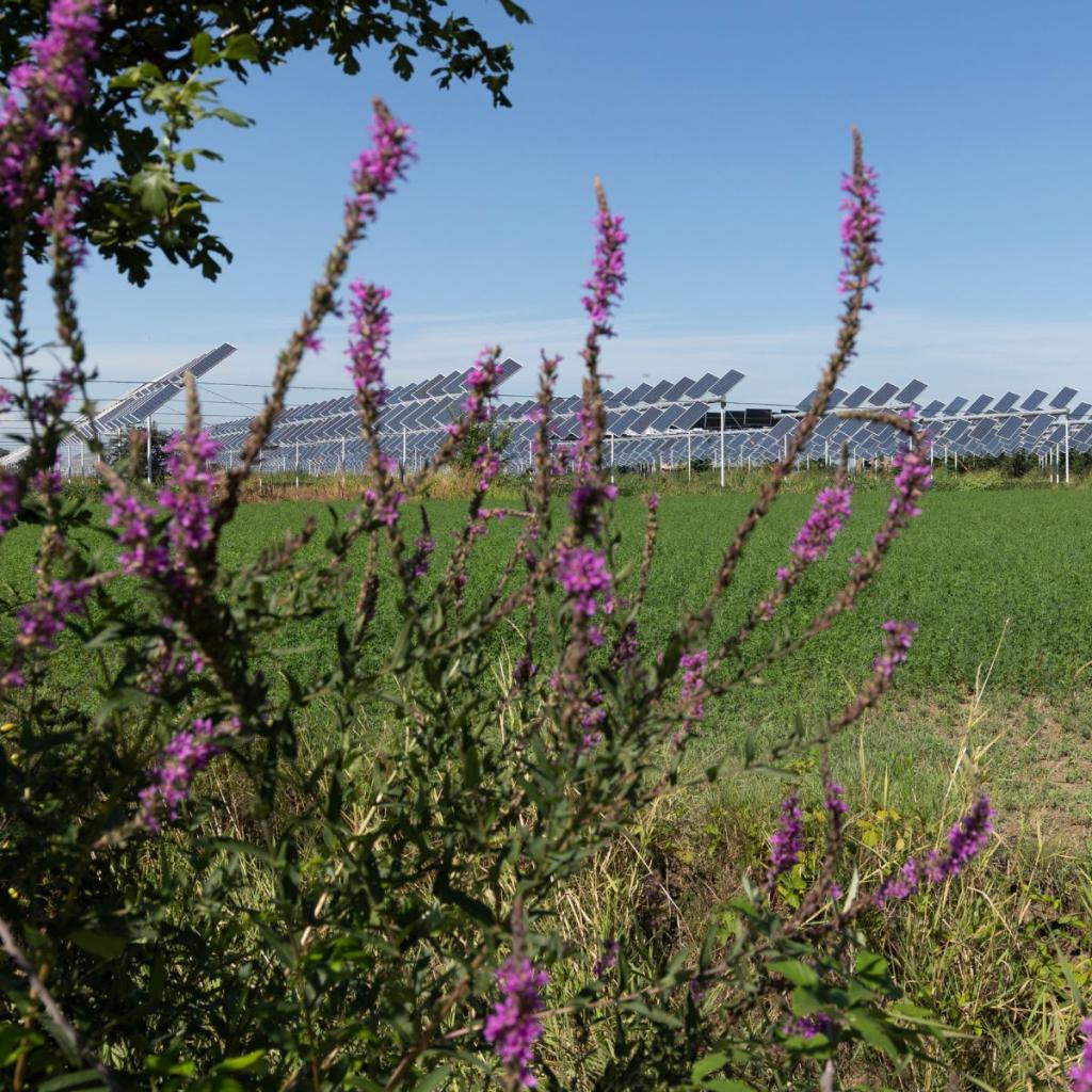 Bannière visuelle de présentation de la formation