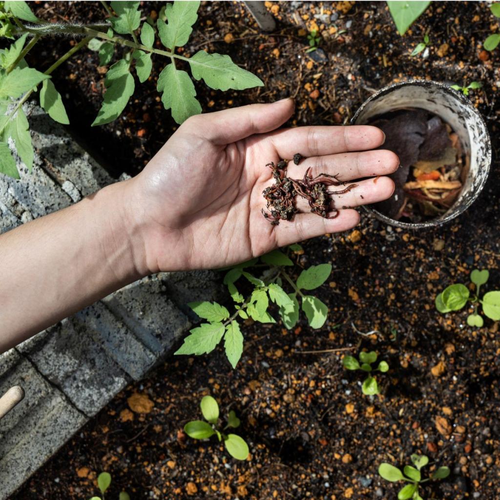 Bannière visuelle de présentation de la formation