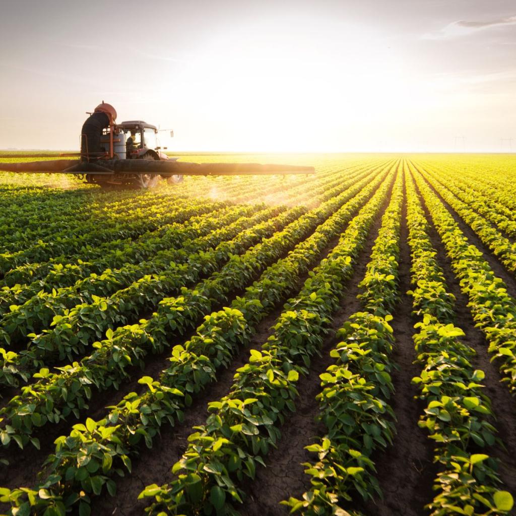 Bannière visuelle de présentation de la formation