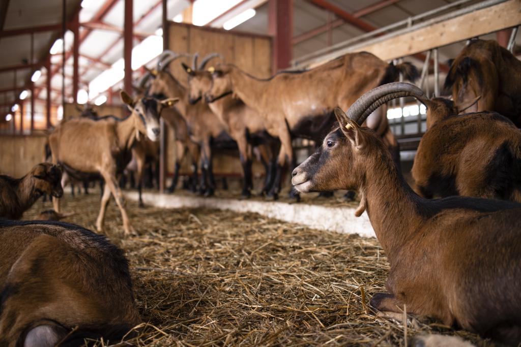 Bannière visuelle de présentation de la formation