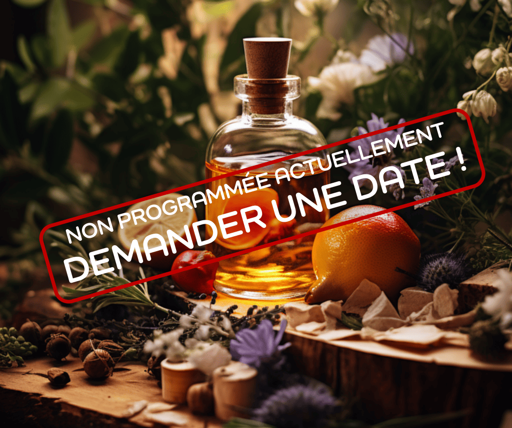 Bannière visuelle de présentation de la formation