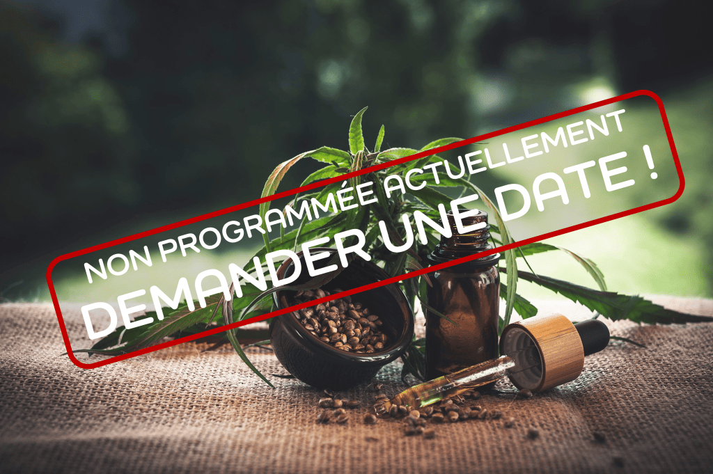 Bannière visuelle de présentation de la formation