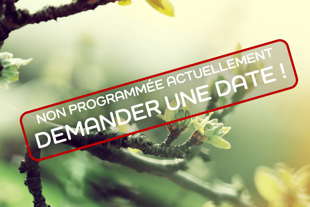 Bannière visuelle de présentation de la formation