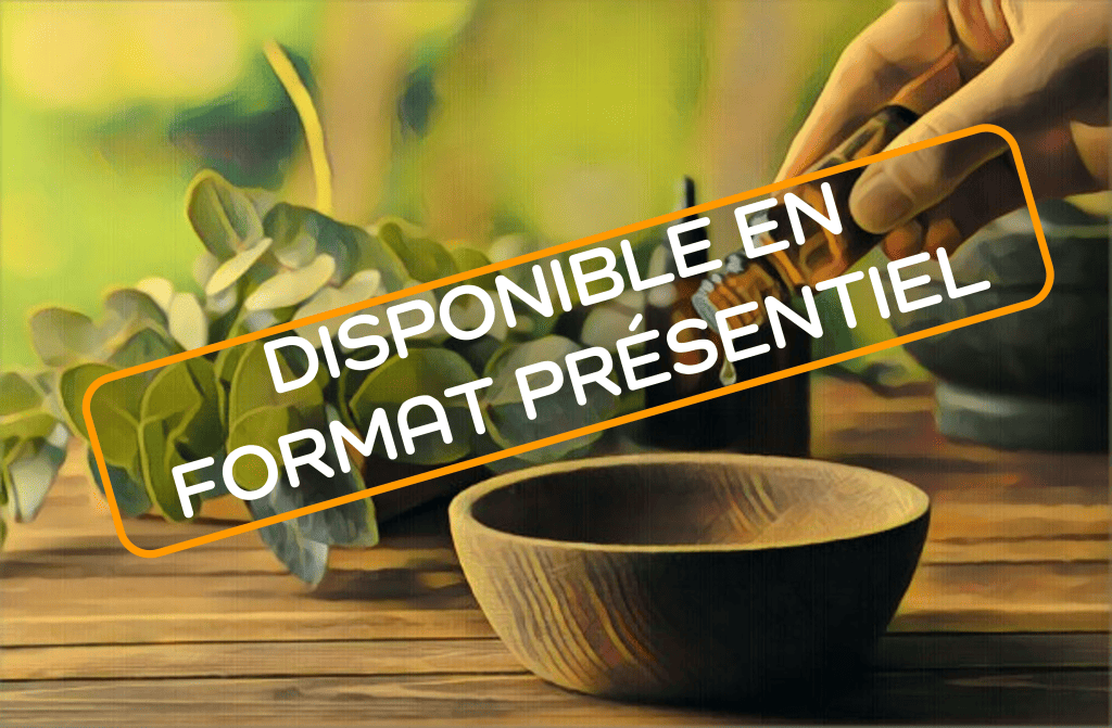 Bannière visuelle de présentation de la formation
