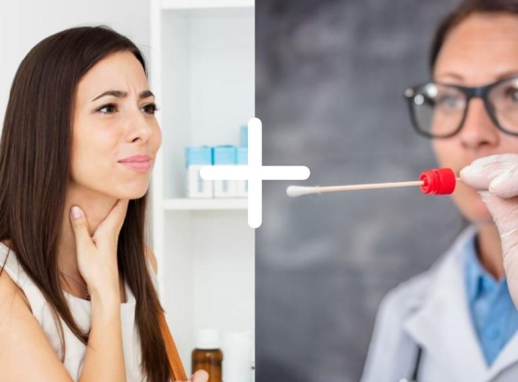 Bannière visuelle de présentation de la formation