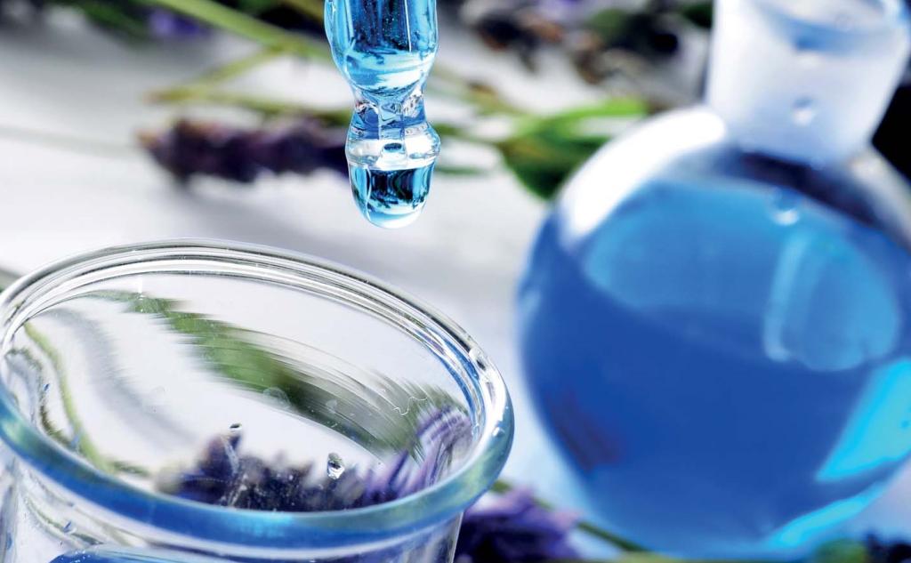 Bannière visuelle de présentation de la formation
