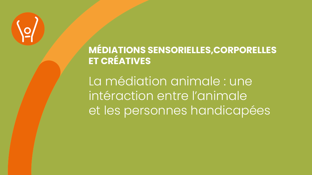 Bannière visuelle de présentation de la formation