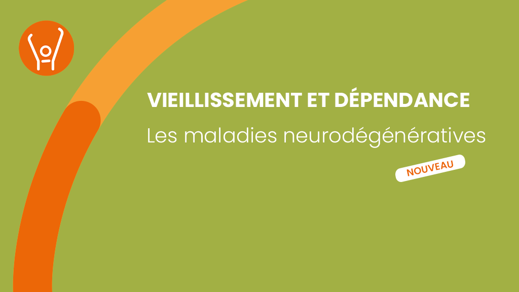 Bannière visuelle de présentation de la formation
