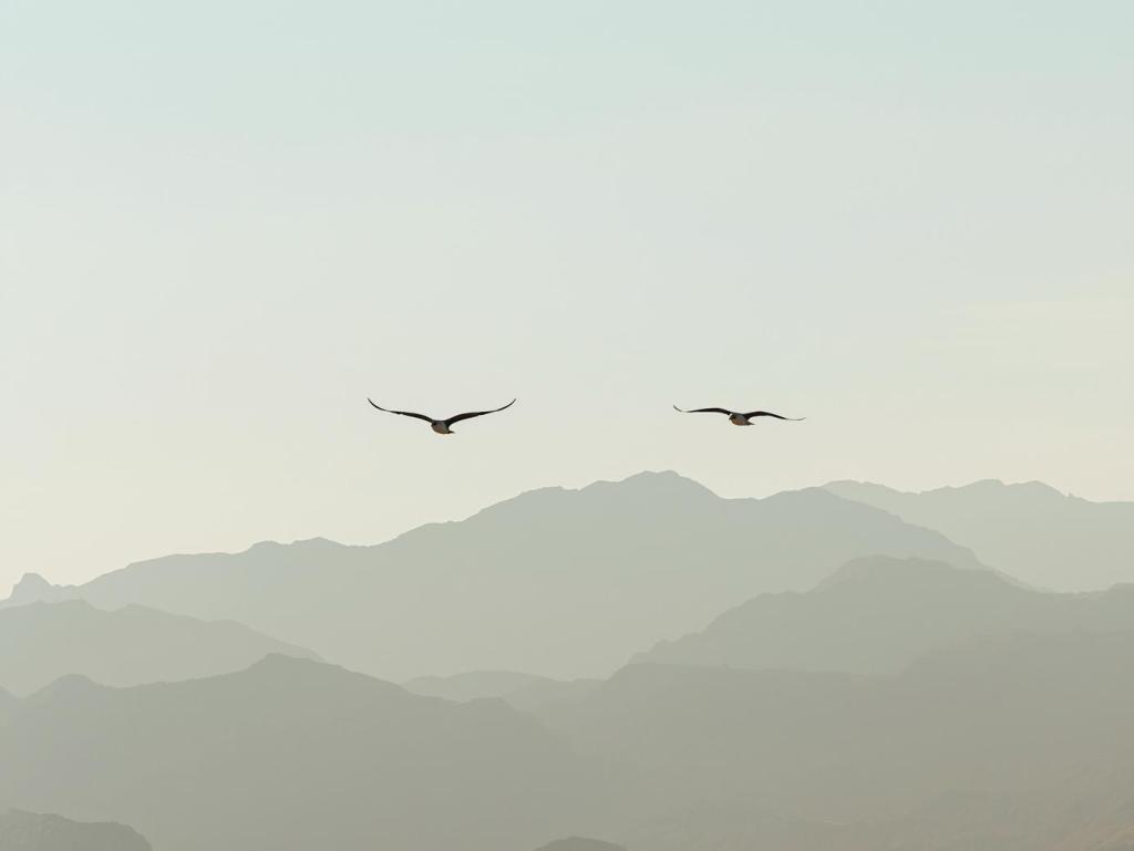 Bannière visuelle de présentation de la formation