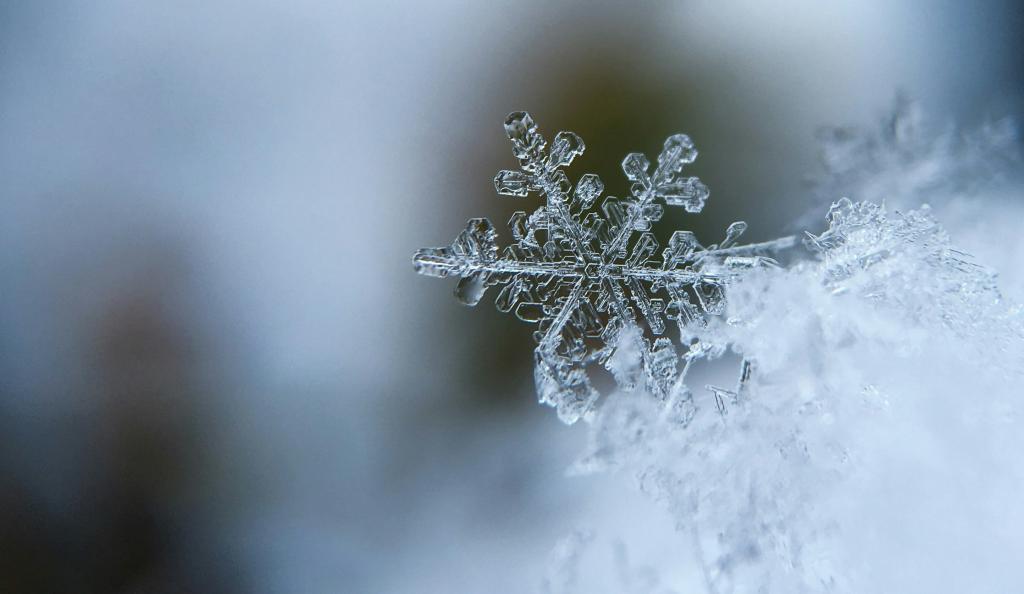 Bannière visuelle de présentation de la formation