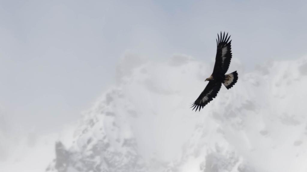 Bannière visuelle de présentation de la formation