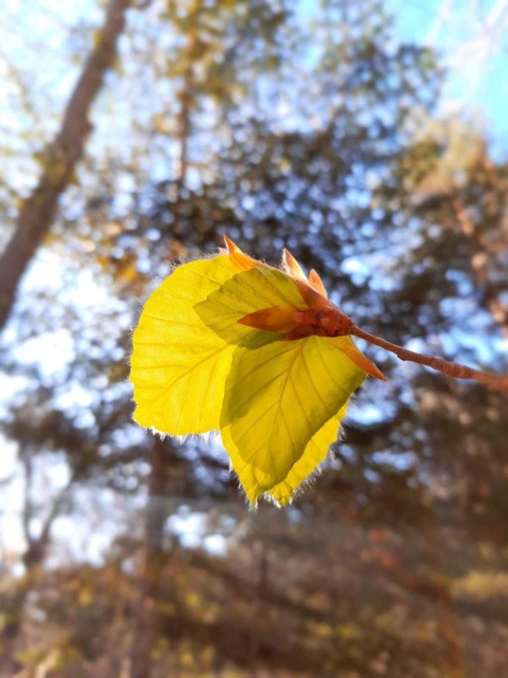Bannière visuelle de présentation de la formation