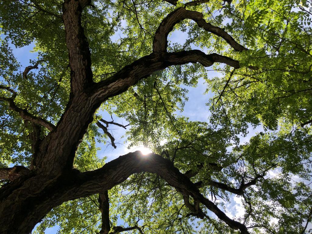 Bannière visuelle de présentation de la formation