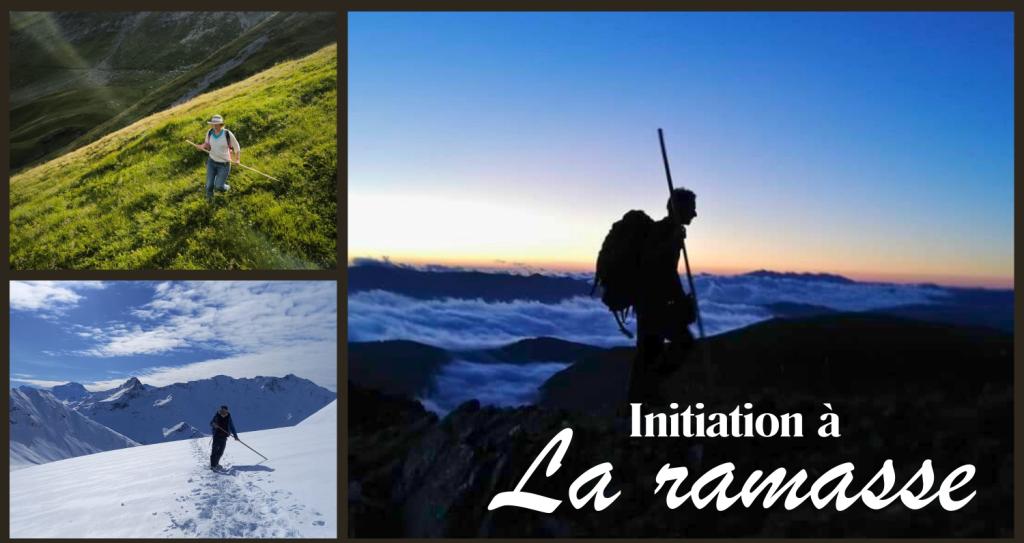 Bannière visuelle de présentation de la formation